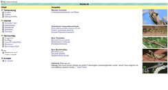 Desktop Screenshot of anolis.de